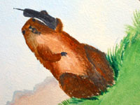 Und t&auml;glich gr&uuml;&szlig;t das Murmeltier...